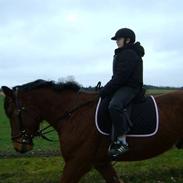 Anden særlig race Charlie 