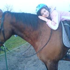 Anden særlig race schamy