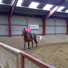 Anden særlig race schamy