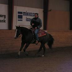 Quarter Chinooks Spat ( David)