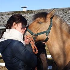 Anden særlig race Águst Kongerslev MITALT - SOLGT