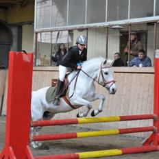 New Forest roløkke tokaji 