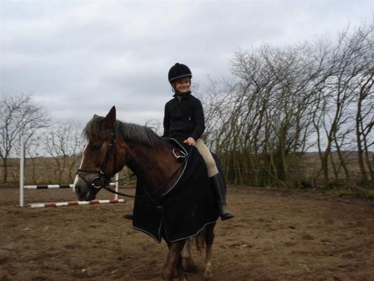 New Forest VMG`s Rødhætte tidl. lånt - smil du er på. billede 8