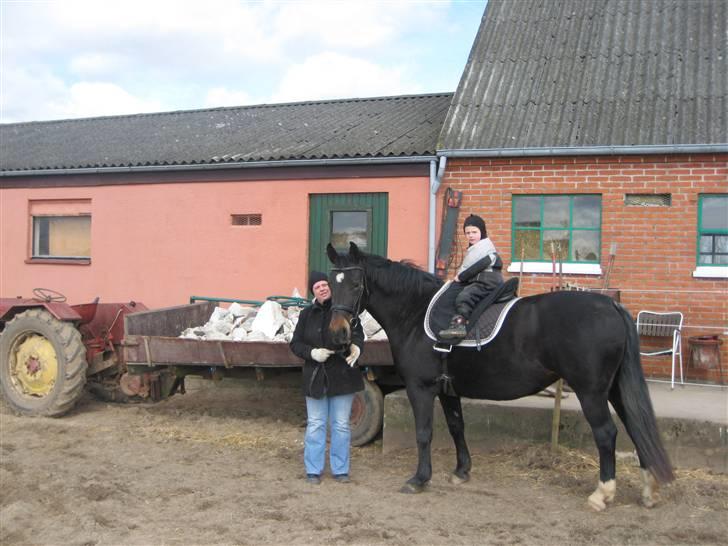 Oldenborg Lillegårdens Lea  ol 579 billede 11