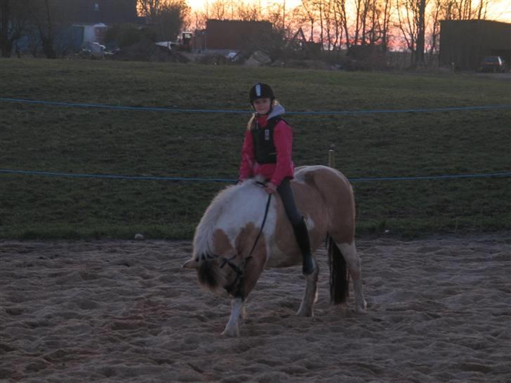 Anden særlig race ••((¯`» Beauty «´¯))•• - HIHI billede 15