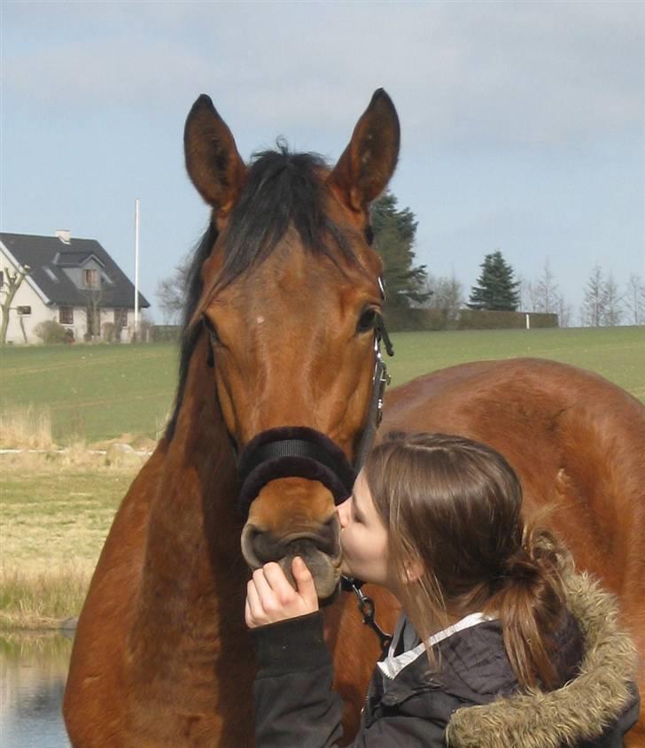 Anden særlig race Imagin Spot Morsbøl(Aflivet) - My one and only <3 billede 11