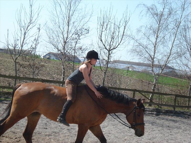 Anden særlig race Imagin Spot Morsbøl(Aflivet) billede 13