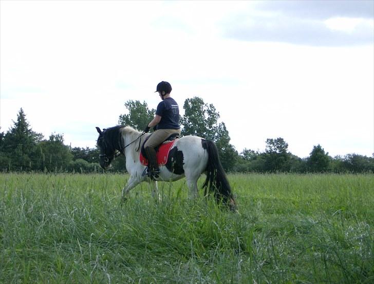 Irish Cob Gipsy - 27-8-10... mig og min dejlige hest... :-) billede 15