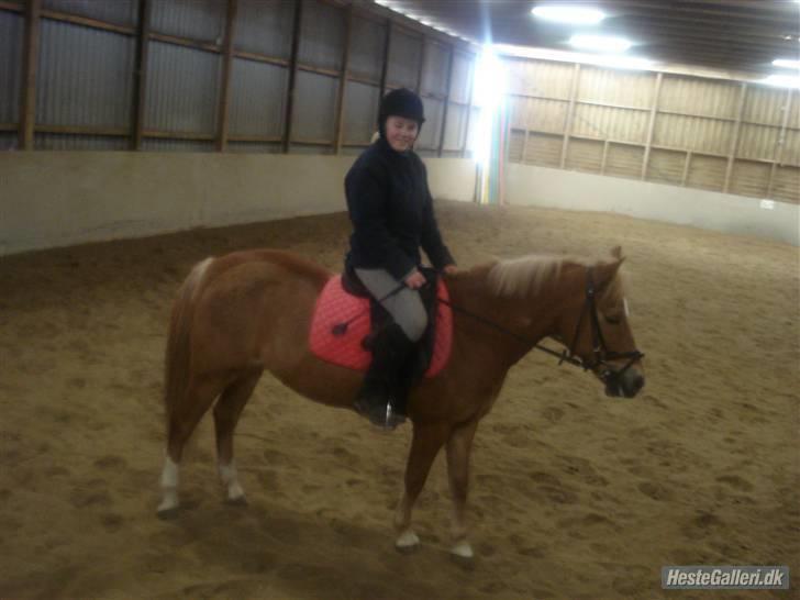 Anden særlig race picasso<3(gl.part:( !!!!) billede 5