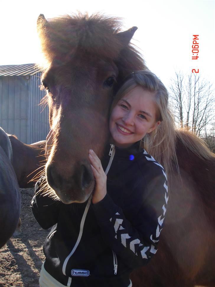 Islænder Vignir  - Vignir og miig! <33 billede 13