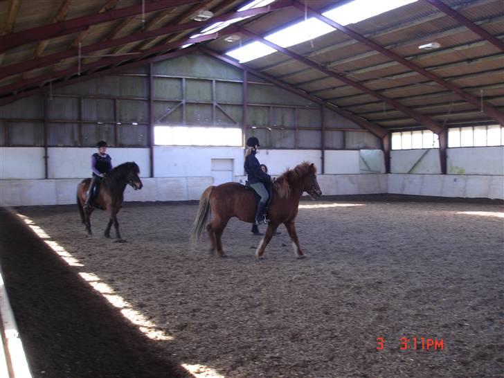 Islænder Vignir  - Her får vi islænder undervisning første gang, det gik rigtig godt!  billede 8