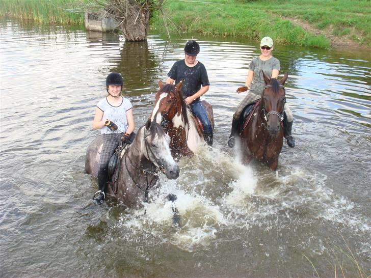 Anden særlig race Cesja - Jeg elsker at bade med hende og hun elsker simpelthen vand! billede 5