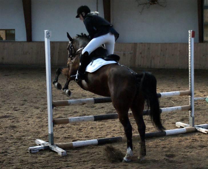 Anden særlig race Vanessa <3   - LC, sygt hop:D.<3 Fotograf: Nanna krüger. billede 13