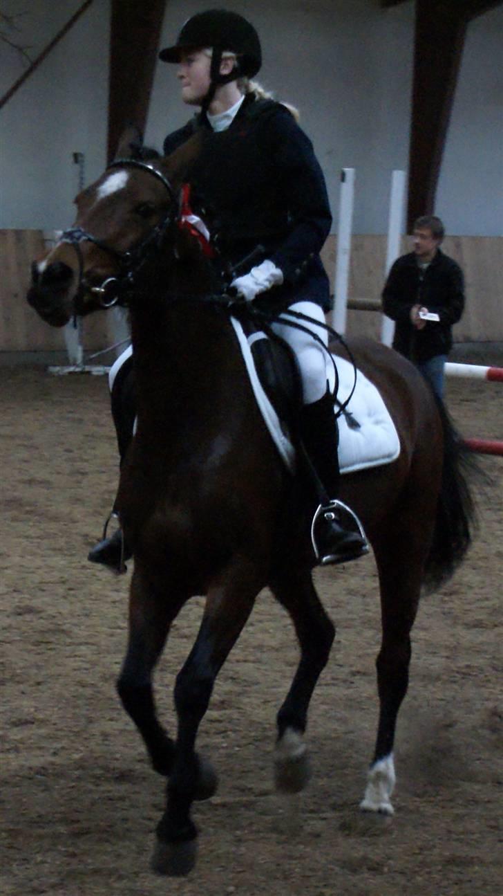 Anden særlig race Vanessa <3   - Præmieoverrækkelse:D.1 plads<3 Fotograf: Nanna krüger. billede 14
