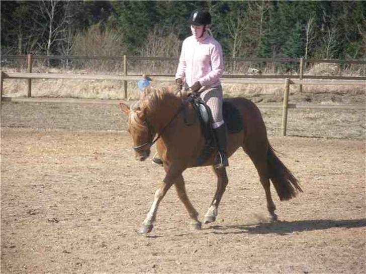 DSP Miss Buterfly *SOLGT* - April 2009 - Se som hun udvikler sig...  billede 14