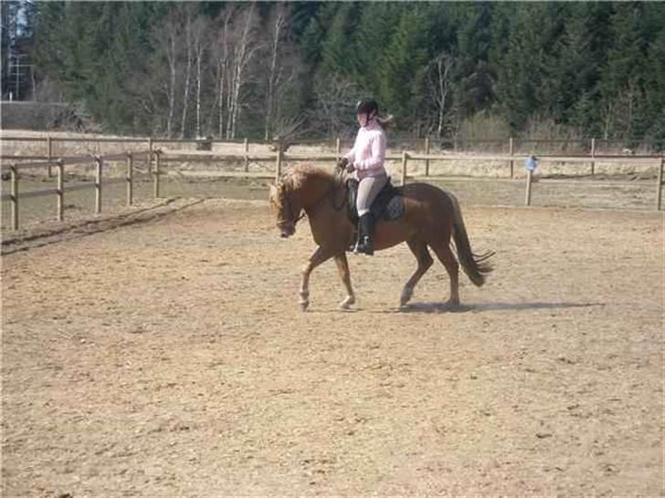 DSP Miss Buterfly *SOLGT* - April 2009 billede 16