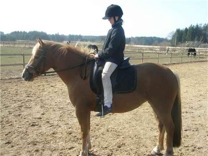 DSP Miss Buterfly *SOLGT* - April 2009 - En stolt Camilla skridte Missy af... billede 17