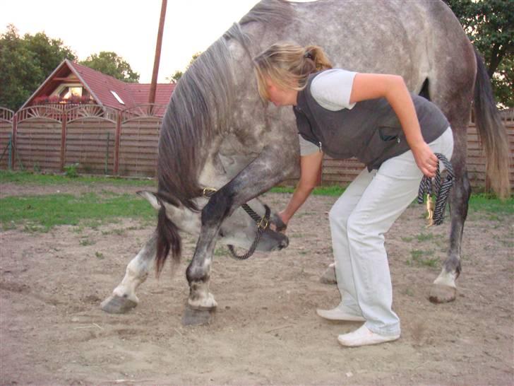 Anden særlig race Cesja - Er hun ikke dygtig, det er Luiza på billedet sammen med Cesja billede 6