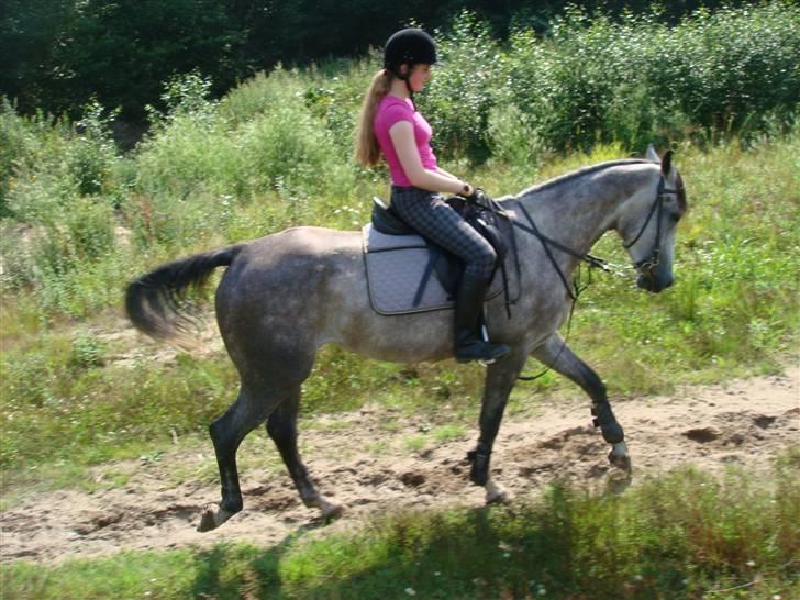 Anden særlig race Cesja - Er hun ikke fin, tag jer ikke af mig XD billede 9