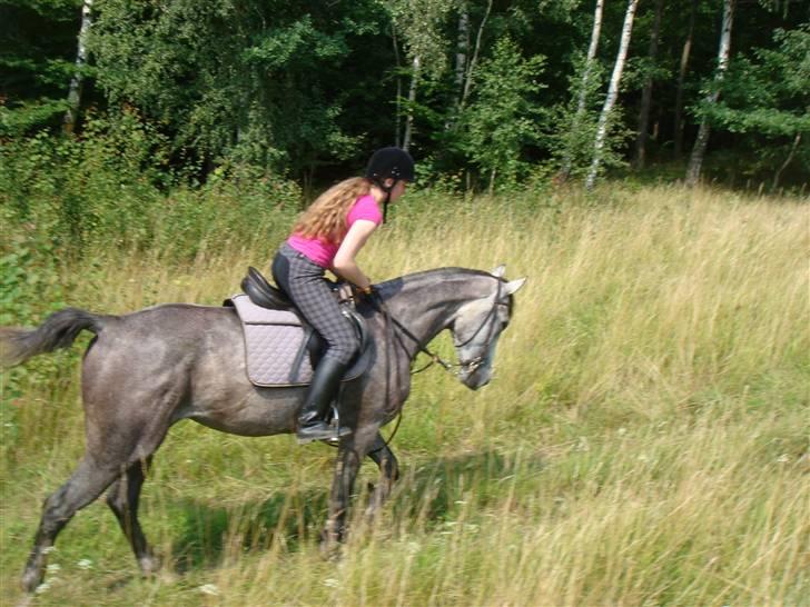 Anden særlig race Cesja - På vej op ad lille bakke XD Hehe billede 10