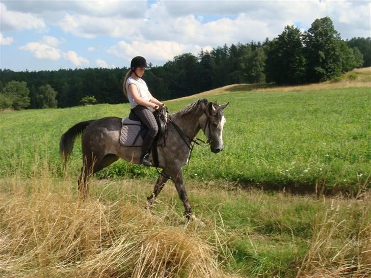 Anden særlig race Cesja - Hun går så fint! :´) billede 11