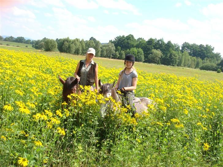 Anden særlig race Cesja - Luiza på Kamea(Kama) og Mig på Cesja billede 13
