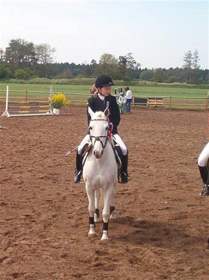 New Forest Andrea SOLGT - Wee, vi fik en 1 plads :) billede 16