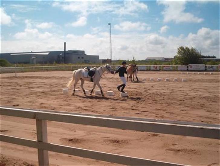 New Forest Andrea SOLGT - Så er der dømt ponygames! :D billede 18