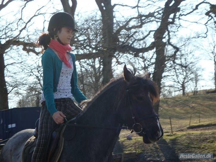 Anden særlig race Gipsy<3 - R.I.P  - Fordi at det var en af de første gange <3 billede 2