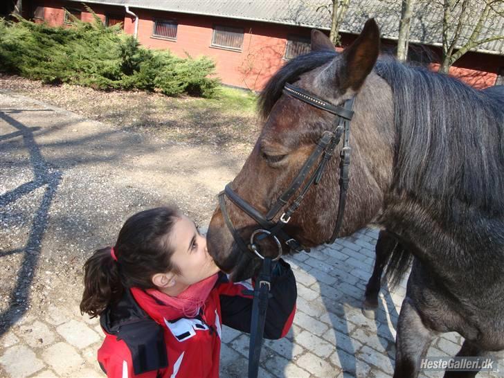 Anden særlig race Gipsy<3 - R.I.P  - Fordi du får et kys :*<3 .. fik et kys :´(  billede 15