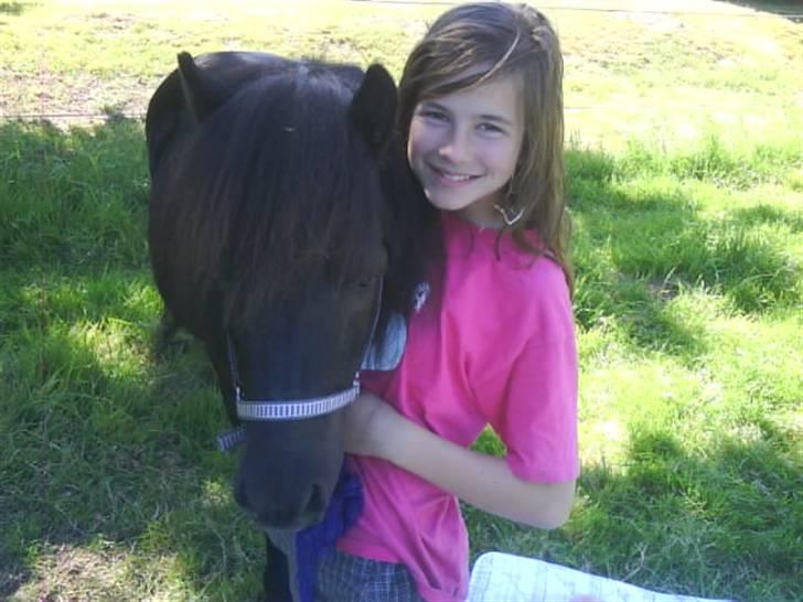 Shetlænder Olga! R.I.P SAVNET!!! :'( - SMIL på skovtur billede 9
