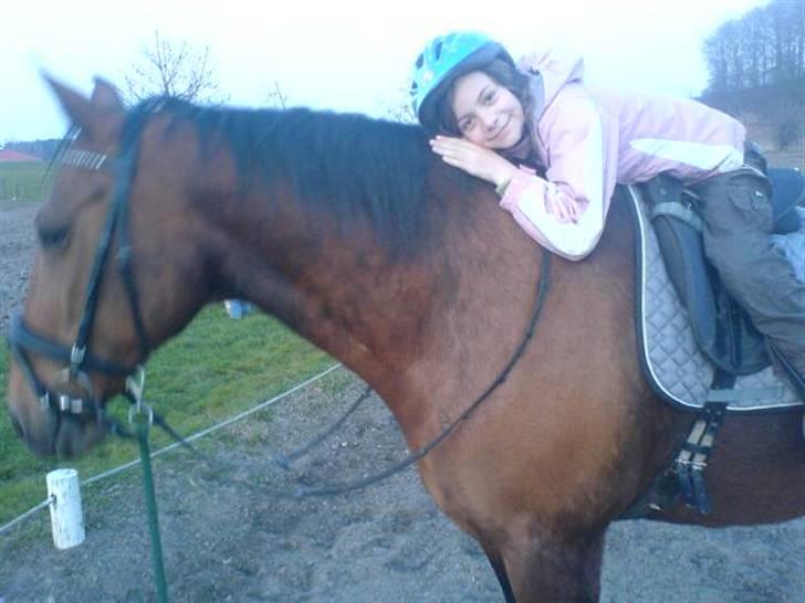 Anden særlig race schamy billede 1