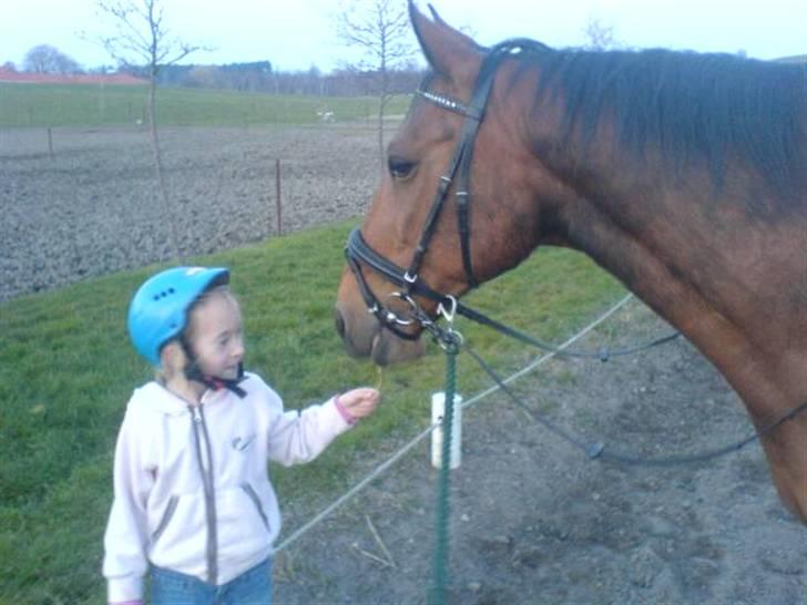 Anden særlig race schamy billede 2