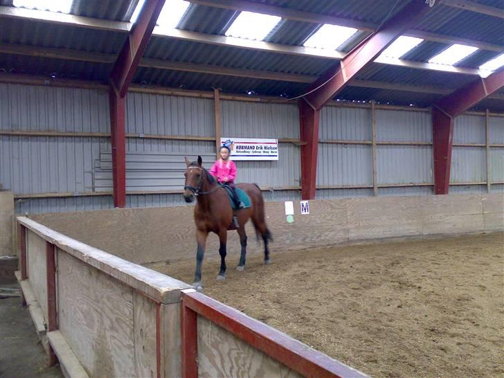 Anden særlig race schamy billede 3