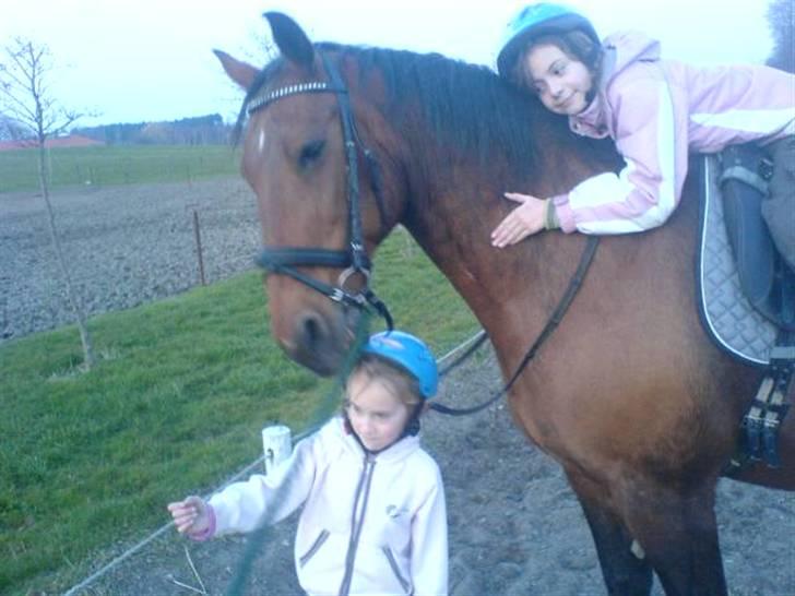 Anden særlig race schamy billede 4