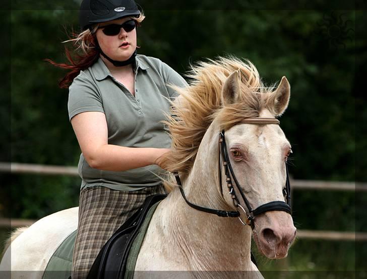 Lusitano Bohemio - # 3 - Fasten the reins... Er vi bare hardcore, eller er vi bare hardcore? billede 3