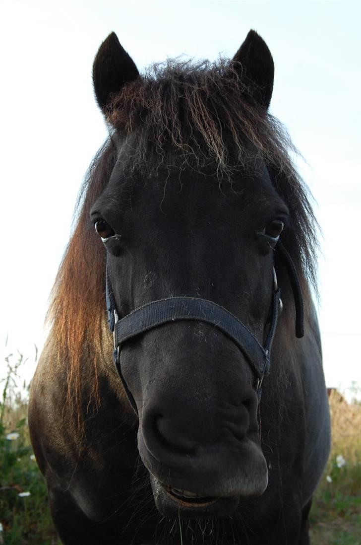 Anden særlig race Lotte - Lotte :) billede 7