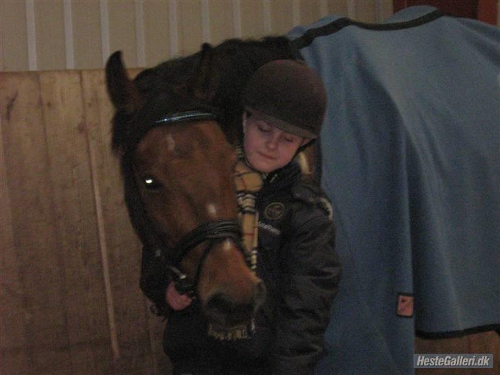 Dansk Varmblod Salantha Hill - Mig og Salantha.     gammelt billede   Foto: Rikke Beck    billede 5