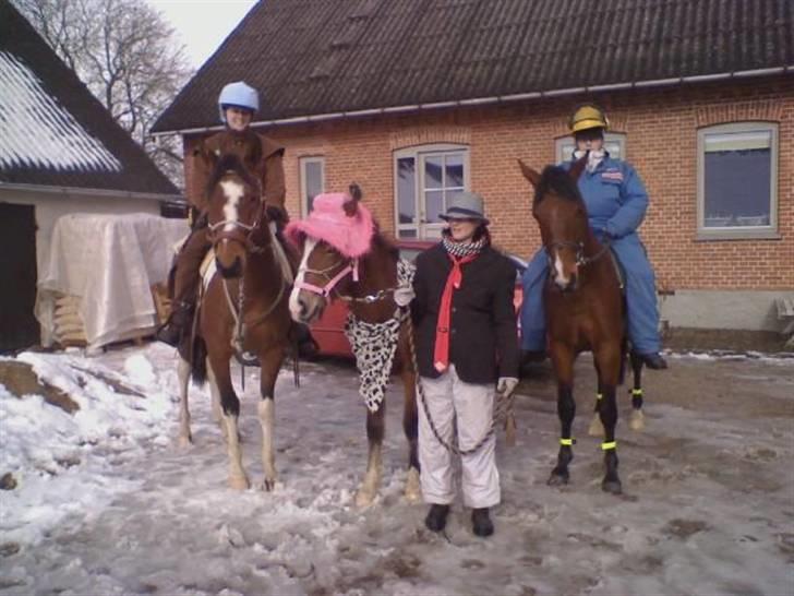 Anden særlig race isabella - fastelavn 09 billede 14