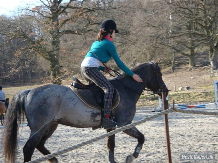 Anden særlig race Gipsy<3 - R.I.P  - Fordi at du altid var dygtig, og fortjente kærlighed og klap <3 billede 19