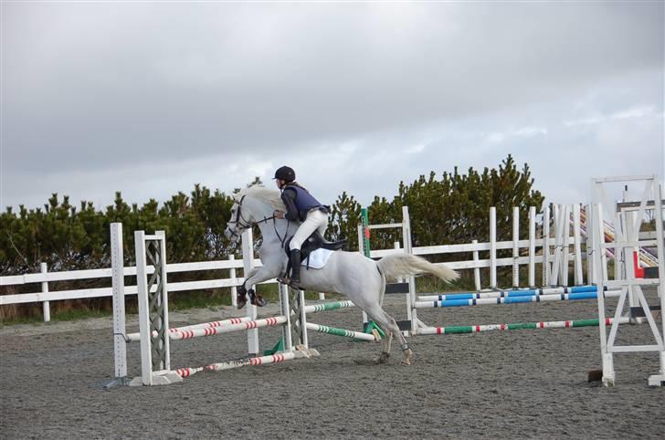 Anglo Araber (AA) Isroem - på det aller første stevnet mitt med Isroem<33:)  Foto:Anne billede 14