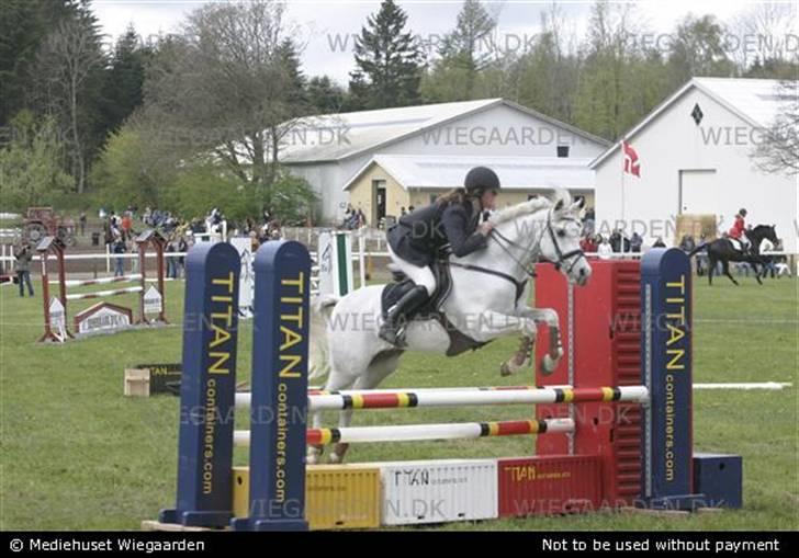 Anglo Araber (AA) Isroem - Isroem og den forgie eieren rider 110 baner foto:vet ikke!!! billede 17