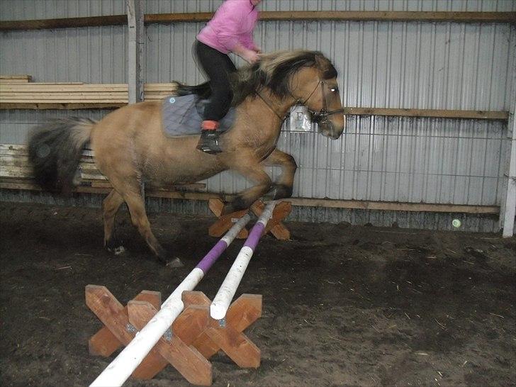 Anden særlig race Lukas ;D<3 - Springdag <3 billede 7