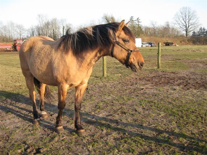 Anden særlig race Lukas ;D<3 - Den sande Lukas ! :´) billede 8