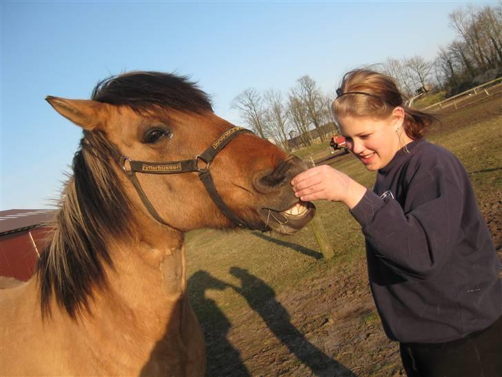 Anden særlig race Lukas ;D<3 - Smiiiiillll ;D<3 billede 9