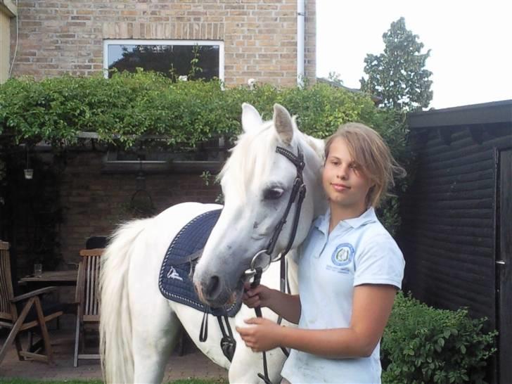 Connemara Banks Captain  - Cappy var hjemme på besøg hos mig <3 foto: Freja billede 16