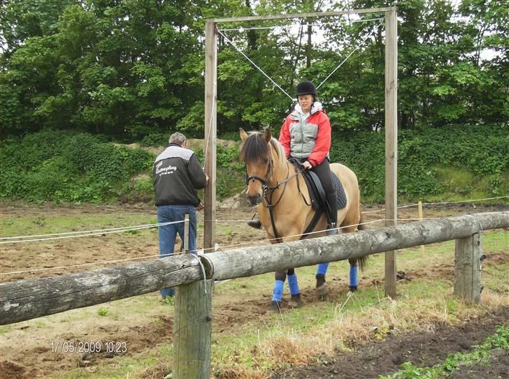 Anden særlig race Lukas ;D<3 - første gang han gik igennem galjen. Han tog det så pænt :D billede 12