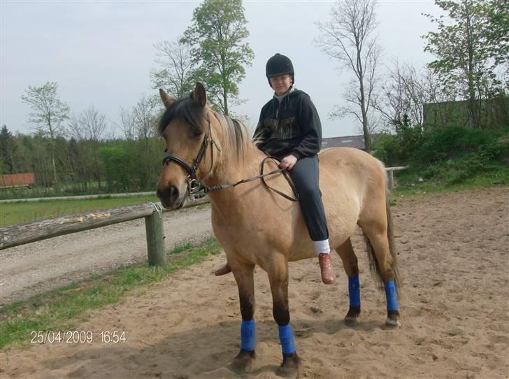 Anden særlig race Lukas ;D<3 - en lille ridetur :D <´3 billede 19