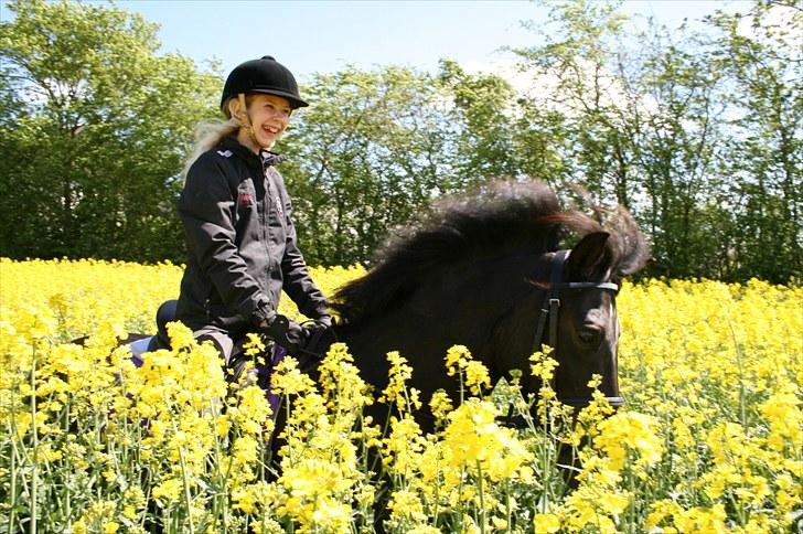 DSP Sputnik Lerkær - Sputnik i raps markerne billede 12