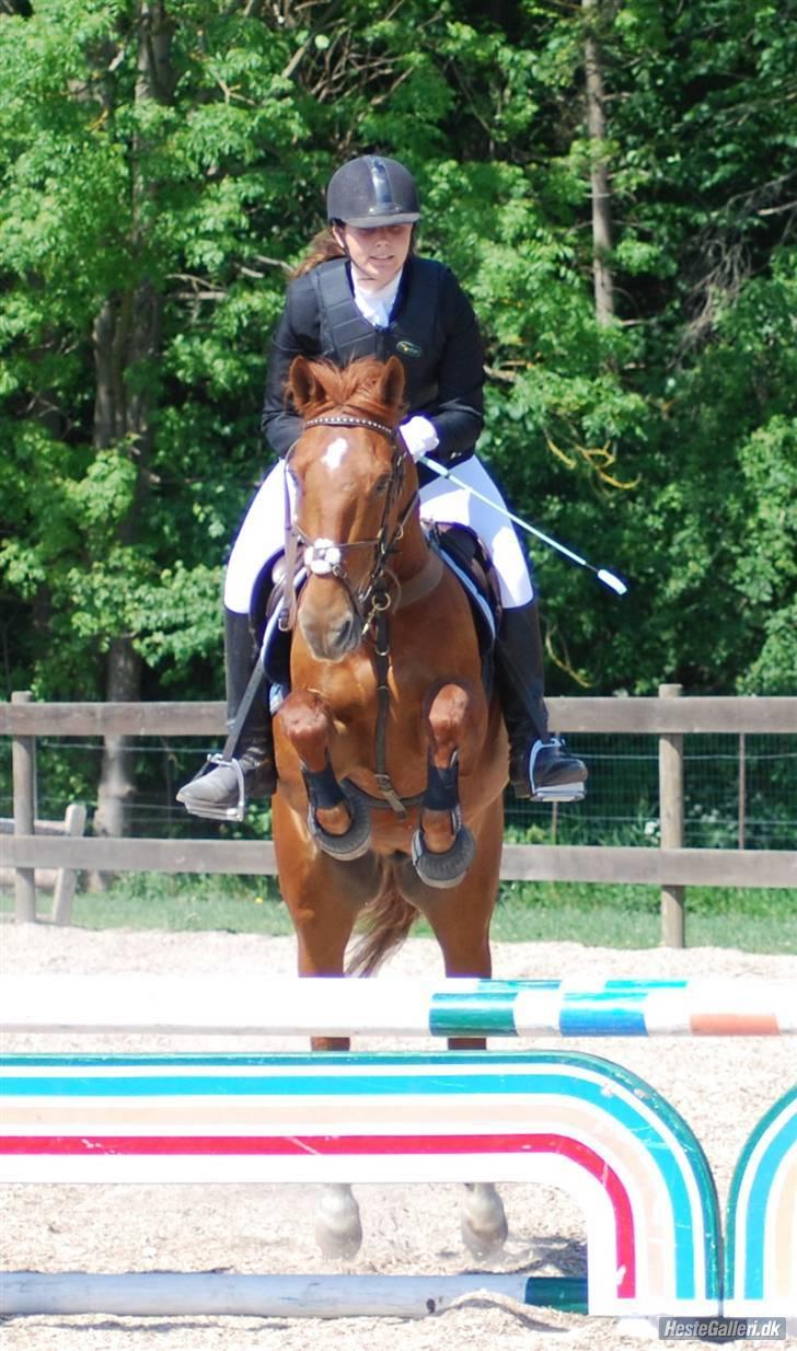 Irsk Sportspony Pimboli  *Solgt* - Pimboli & mig til vores 2. stævne i LC.. Foto : Berit D.. billede 2